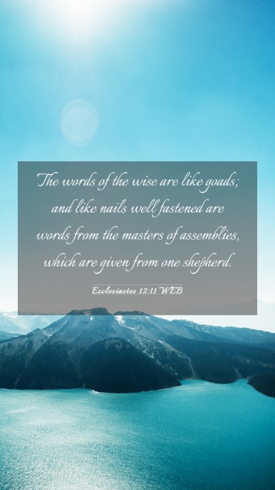 Picture 03 - Ecclesiastes 12:11 WEB Mobile Phone Wallpaper - The words of the wise are like goads; and like - Mobile Bible Verse Wallpaper