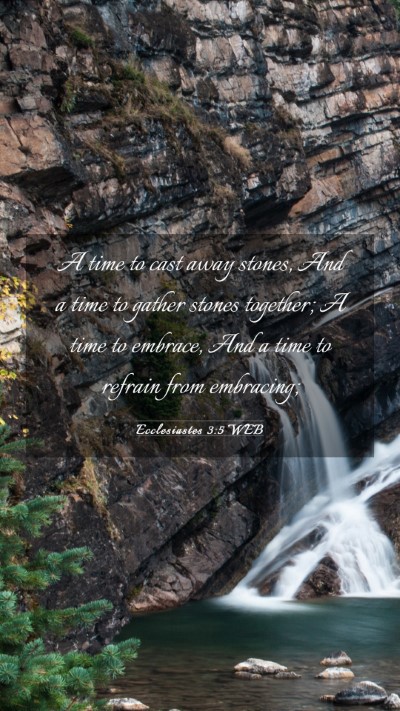 Picture 03 - Ecclesiastes 3:5 WEB Mobile Phone Wallpaper - A time to cast away stones, And a time to gather - Mobile Bible Verse Wallpaper
