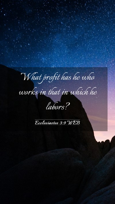 Picture 03 - Ecclesiastes 3:9 WEB Mobile Phone Wallpaper - What profit has he who works in that in which he - Mobile Bible Verse Wallpaper