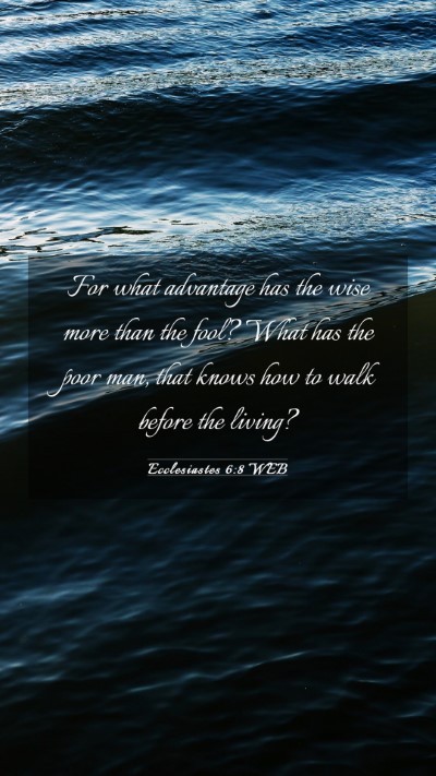Picture 03 - Ecclesiastes 6:8 WEB Mobile Phone Wallpaper - For what advantage has the wise more than the - Mobile Bible Verse Wallpaper