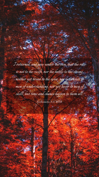 Picture 03 - Ecclesiastes 9:11 WEB Mobile Phone Wallpaper - I returned, and saw under the sun, that the race - Mobile Bible Verse Wallpaper