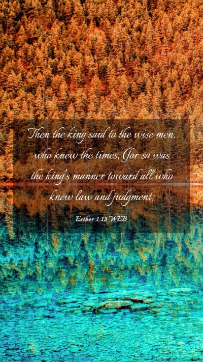 Picture 03 - Esther 1:13 WEB Mobile Phone Wallpaper - Then the king said to the wise men, who knew the - Mobile Bible Verse Wallpaper