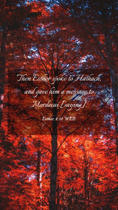 Picture 03 - Esther 4:10 WEB Mobile Phone Wallpaper - Then Esther spoke to Hathach, and gave him a - Mobile Bible Verse Wallpaper
