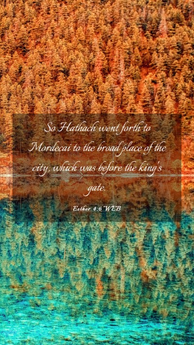 Picture 03 - Esther 4:6 WEB Mobile Phone Wallpaper - So Hathach went forth to Mordecai to the broad - Mobile Bible Verse Wallpaper