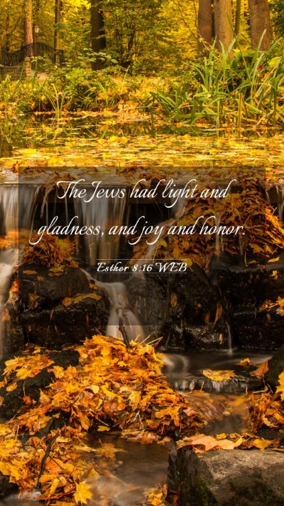 Picture 03 - Esther 8:16 WEB Mobile Phone Wallpaper - The Jews had light and gladness, and joy and - Mobile Bible Verse Wallpaper