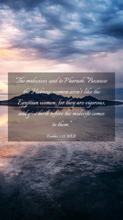 Picture 03 - Exodus 1:19 WEB Mobile Phone Wallpaper - The midwives said to Pharaoh, 