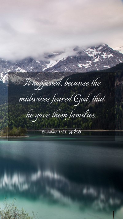 Picture 03 - Exodus 1:21 WEB Mobile Phone Wallpaper - It happened, because the midwives feared God, - Mobile Bible Verse Wallpaper