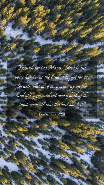 Picture 03 - Exodus 10:12 WEB Mobile Phone Wallpaper - Yahweh said to Moses, 