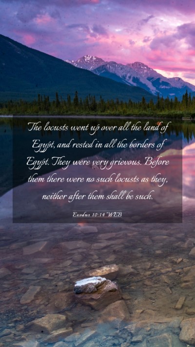 Picture 03 - Exodus 10:14 WEB Mobile Phone Wallpaper - The locusts went up over all the land of Egypt, - Mobile Bible Verse Wallpaper