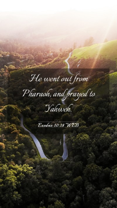 Picture 03 - Exodus 10:18 WEB Mobile Phone Wallpaper - He went out from Pharaoh, and prayed to - Mobile Bible Verse Wallpaper