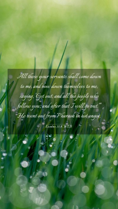 Picture 03 - Exodus 11:8 WEB Mobile Phone Wallpaper - All these your servants shall come down to me, - Mobile Bible Verse Wallpaper