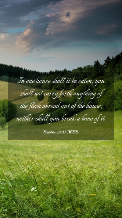 Picture 03 - Exodus 12:46 WEB Mobile Phone Wallpaper - In one house shall it be eaten; you shall not - Mobile Bible Verse Wallpaper