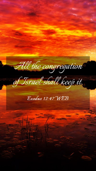Picture 03 - Exodus 12:47 WEB Mobile Phone Wallpaper - All the congregation of Israel shall keep - Mobile Bible Verse Wallpaper