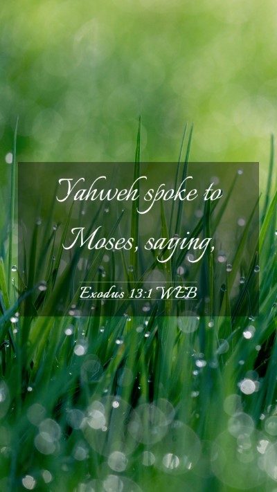 Picture 03 - Exodus 13:1 WEB Mobile Phone Wallpaper - Yahweh spoke to Moses, - Mobile Bible Verse Wallpaper