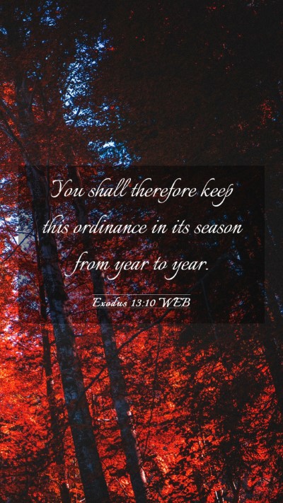 Picture 03 - Exodus 13:10 WEB Mobile Phone Wallpaper - You shall therefore keep this ordinance in its - Mobile Bible Verse Wallpaper