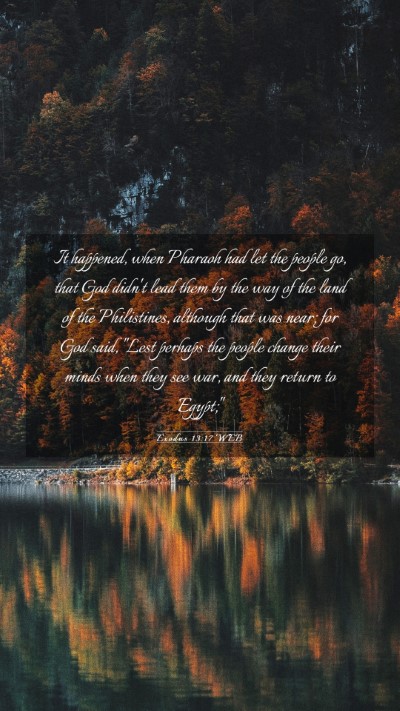 Picture 03 - Exodus 13:17 WEB Mobile Phone Wallpaper - It happened, when Pharaoh had let the people go, - Mobile Bible Verse Wallpaper