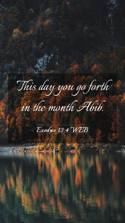 Picture 03 - Exodus 13:4 WEB Mobile Phone Wallpaper - This day you go forth in the month - Mobile Bible Verse Wallpaper