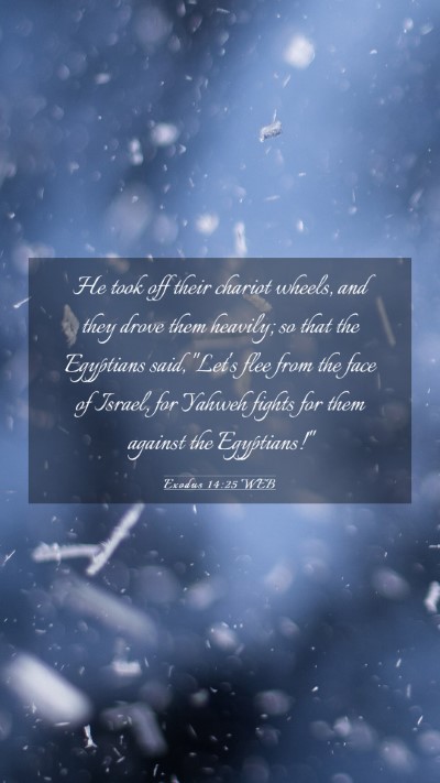 Picture 03 - Exodus 14:25 WEB Mobile Phone Wallpaper - He took off their chariot wheels, and they drove - Mobile Bible Verse Wallpaper