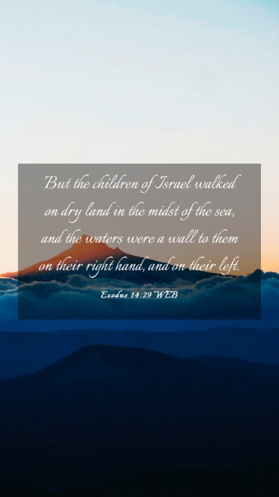 Picture 03 - Exodus 14:29 WEB Mobile Phone Wallpaper - But the children of Israel walked on dry land in - Mobile Bible Verse Wallpaper