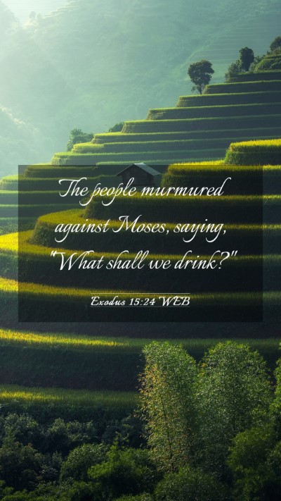 Picture 03 - Exodus 15:24 WEB Mobile Phone Wallpaper - The people murmured against Moses, saying, 