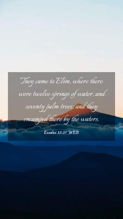 Picture 03 - Exodus 15:27 WEB Mobile Phone Wallpaper - They came to Elim, where there were twelve - Mobile Bible Verse Wallpaper