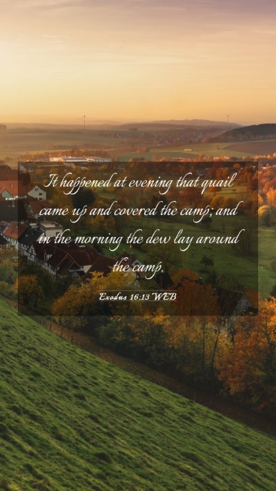 Picture 03 - Exodus 16:13 WEB Mobile Phone Wallpaper - It happened at evening that quail came up and - Mobile Bible Verse Wallpaper