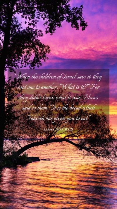 Picture 03 - Exodus 16:15 WEB Mobile Phone Wallpaper - When the children of Israel saw it, they said one - Mobile Bible Verse Wallpaper
