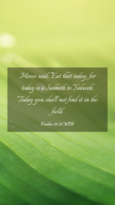 Picture 03 - Exodus 16:25 WEB Mobile Phone Wallpaper - Moses said, 