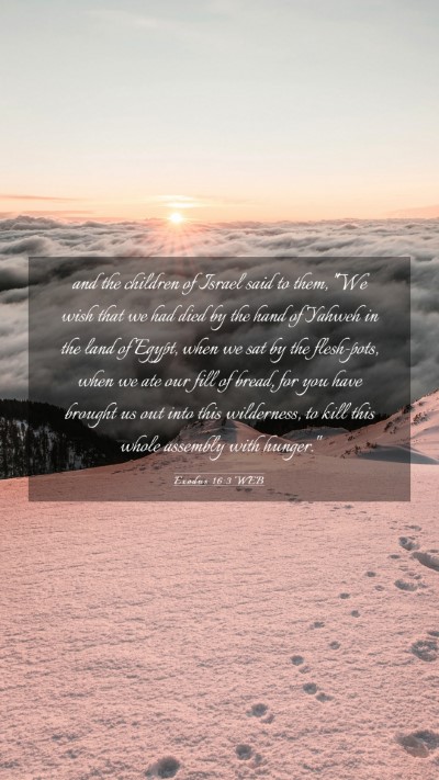 Picture 03 - Exodus 16:3 WEB Mobile Phone Wallpaper - and the children of Israel said to them, 