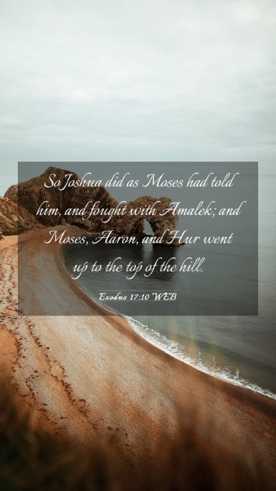 Picture 03 - Exodus 17:10 WEB Mobile Phone Wallpaper - So Joshua did as Moses had told him, and fought - Mobile Bible Verse Wallpaper