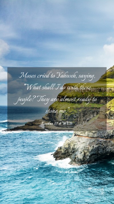 Picture 03 - Exodus 17:4 WEB Mobile Phone Wallpaper - Moses cried to Yahweh, saying, 