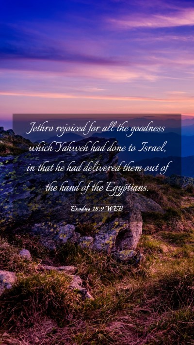 Picture 03 - Exodus 18:9 WEB Mobile Phone Wallpaper - Jethro rejoiced for all the goodness which Yahweh - Mobile Bible Verse Wallpaper