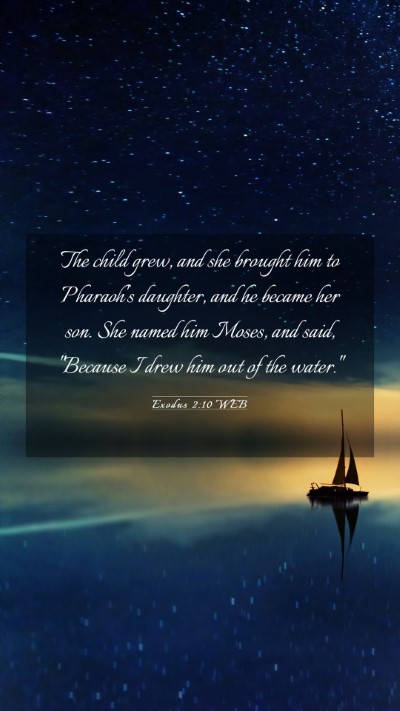 Picture 03 - Exodus 2:10 WEB Mobile Phone Wallpaper - The child grew, and she brought him to Pharaoh's - Mobile Bible Verse Wallpaper