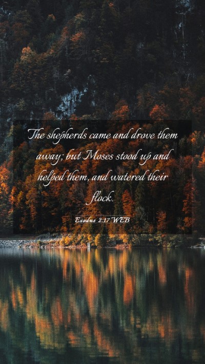 Picture 03 - Exodus 2:17 WEB Mobile Phone Wallpaper - The shepherds came and drove them away; but Moses - Mobile Bible Verse Wallpaper