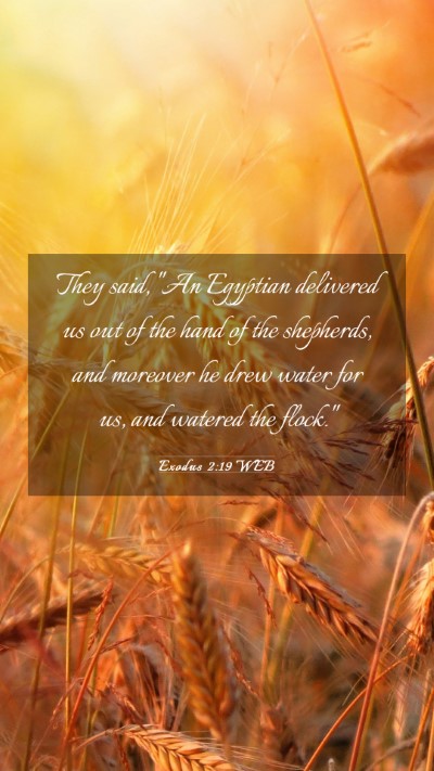 Picture 03 - Exodus 2:19 WEB Mobile Phone Wallpaper - They said, 