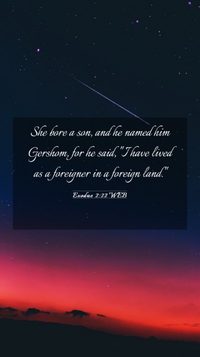Picture 03 - Exodus 2:22 WEB Mobile Phone Wallpaper - She bore a son, and he named him Gershom, for he - Mobile Bible Verse Wallpaper