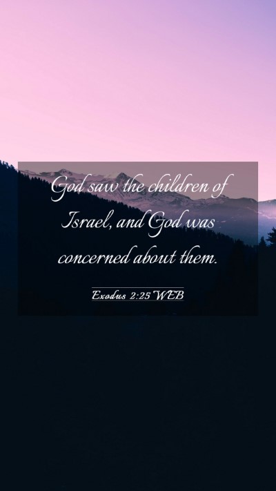 Picture 03 - Exodus 2:25 WEB Mobile Phone Wallpaper - God saw the children of Israel, and God was - Mobile Bible Verse Wallpaper
