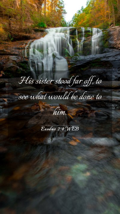 Picture 03 - Exodus 2:4 WEB Mobile Phone Wallpaper - His sister stood far off, to see what would be - Mobile Bible Verse Wallpaper