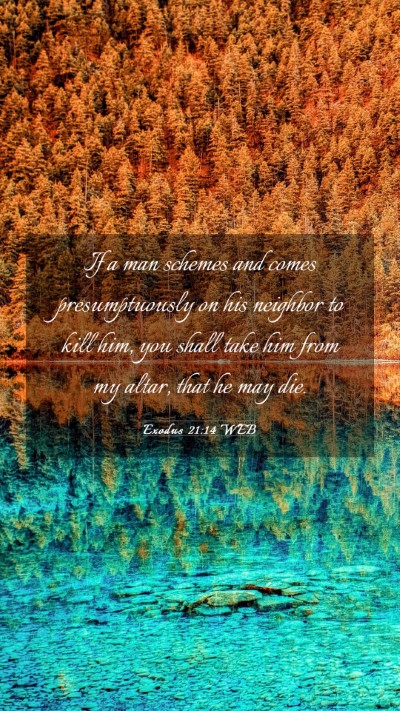 Picture 03 - Exodus 21:14 WEB Mobile Phone Wallpaper - If a man schemes and comes presumptuously on his - Mobile Bible Verse Wallpaper