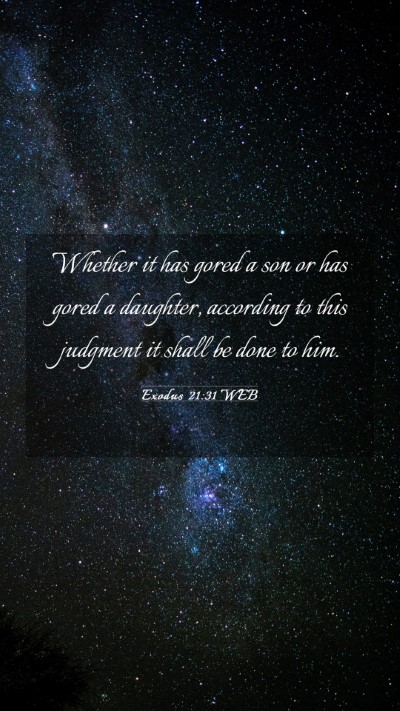 Picture 03 - Exodus 21:31 WEB Mobile Phone Wallpaper - Whether it has gored a son or has gored a - Mobile Bible Verse Wallpaper