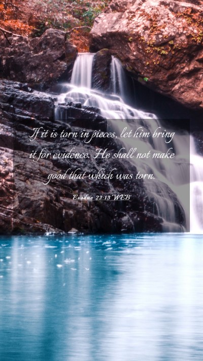 Picture 03 - Exodus 22:13 WEB Mobile Phone Wallpaper - If it is torn in pieces, let him bring it for - Mobile Bible Verse Wallpaper