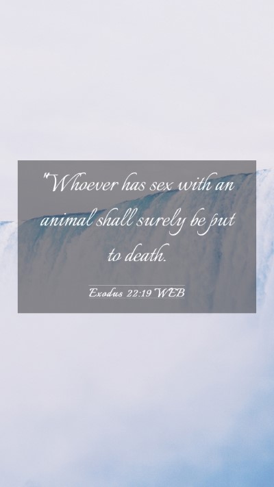 Picture 03 - Exodus 22:19 WEB Mobile Phone Wallpaper - 