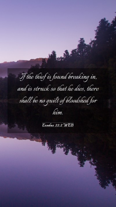 Picture 03 - Exodus 22:2 WEB Mobile Phone Wallpaper - If the thief is found breaking in, and is struck - Mobile Bible Verse Wallpaper