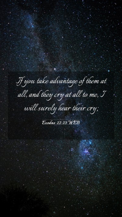 Picture 03 - Exodus 22:23 WEB Mobile Phone Wallpaper - If you take advantage of them at all, and they - Mobile Bible Verse Wallpaper