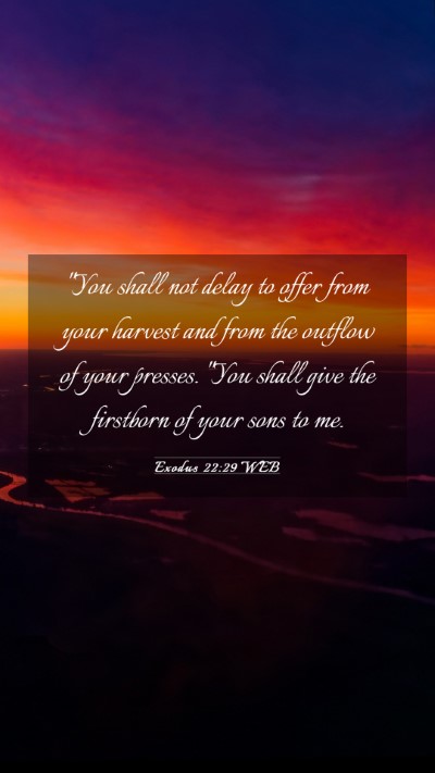 Picture 03 - Exodus 22:29 WEB Mobile Phone Wallpaper - 