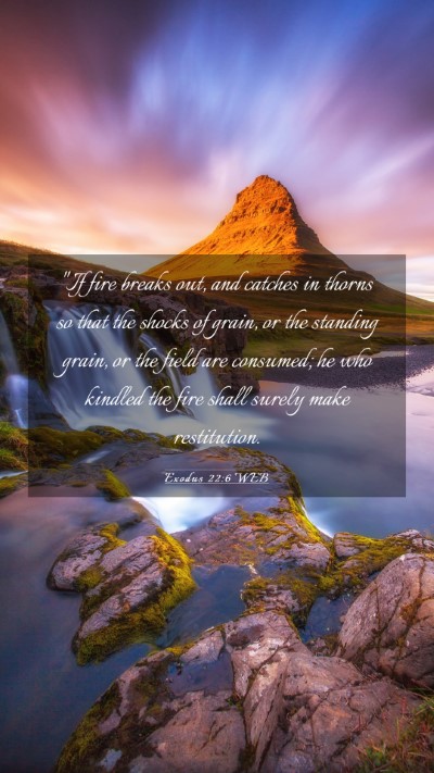 Picture 03 - Exodus 22:6 WEB Mobile Phone Wallpaper - 