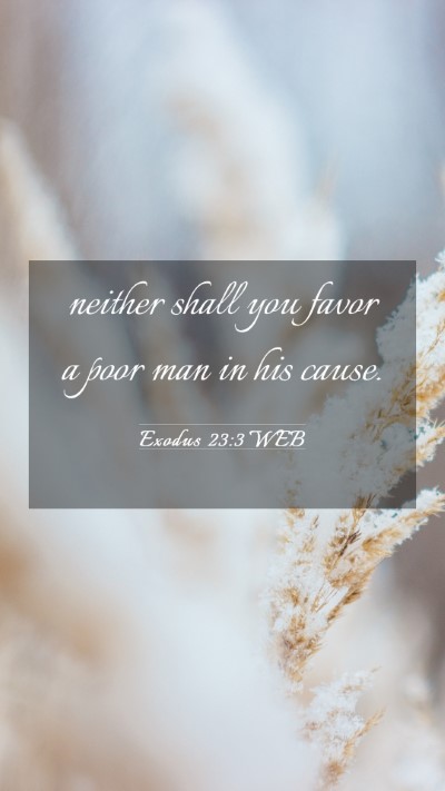 Picture 03 - Exodus 23:3 WEB Mobile Phone Wallpaper - neither shall you favor a poor man in his - Mobile Bible Verse Wallpaper
