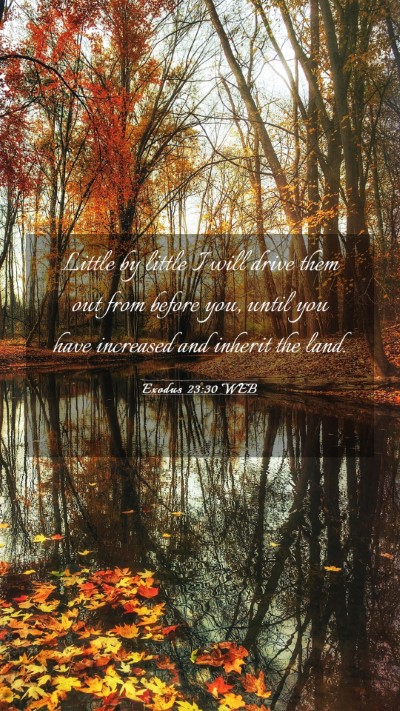 Picture 03 - Exodus 23:30 WEB Mobile Phone Wallpaper - Little by little I will drive them out from - Mobile Bible Verse Wallpaper