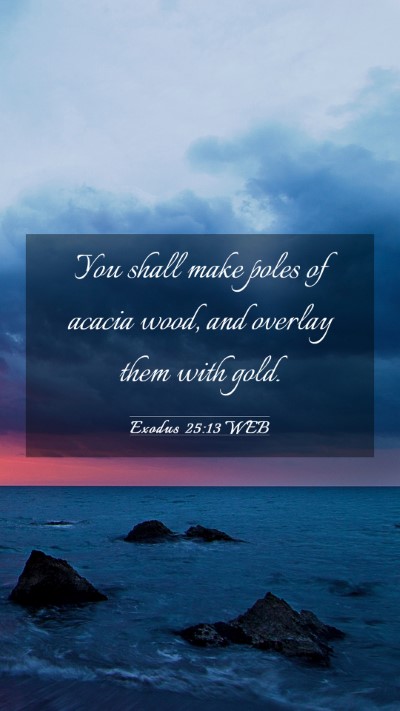 Picture 03 - Exodus 25:13 WEB Mobile Phone Wallpaper - You shall make poles of acacia wood, and overlay - Mobile Bible Verse Wallpaper