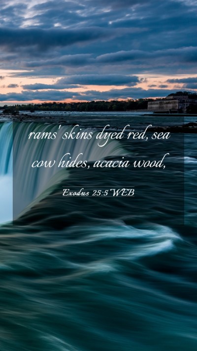 Picture 03 - Exodus 25:5 WEB Mobile Phone Wallpaper - rams' skins dyed red, sea cow hides, acacia - Mobile Bible Verse Wallpaper